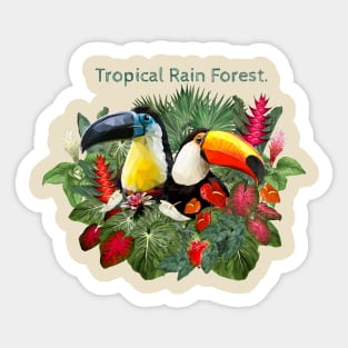 Amazon plants and toucan birds. Sticker